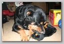 from_aly_2006_072.jpg