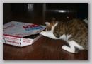 from_aly_2006_119.jpg