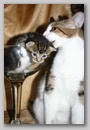 from_aly_2006_162.jpg