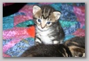 from_aly_2006_163.jpg
